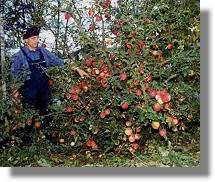 Doppelt-Klicken hier zum Ändern des Bildes
